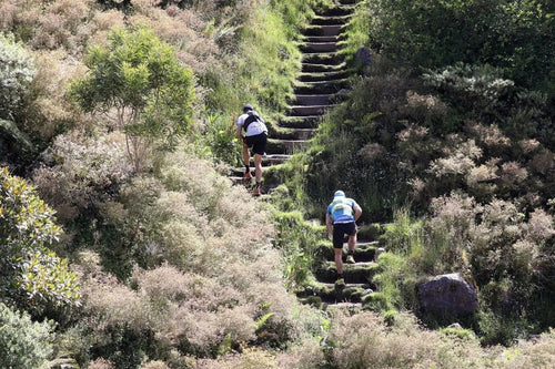 Diagonale des Fous 2026 : tracé GPX, parcours et tout ce qu'il faut savoir avant le Grand Raid Réunion 2026